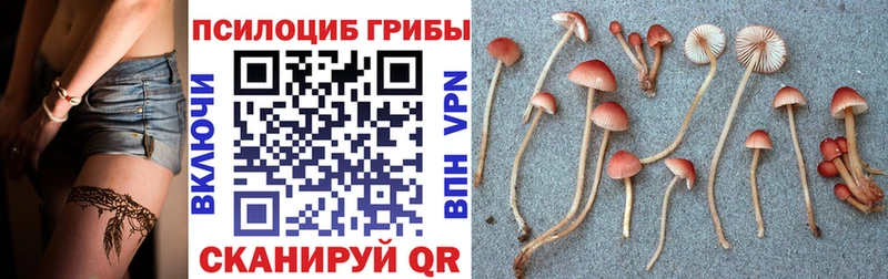 Галлюциногенные грибы мицелий Краснотурьинск