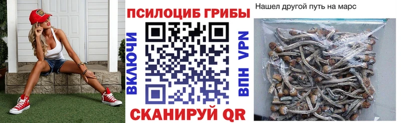 Псилоцибиновые грибы Magic Shrooms  кракен ССЫЛКА  Краснотурьинск  где купить  